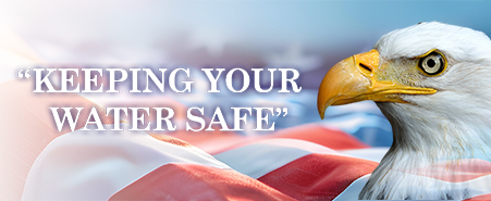Eagle beside American flag background